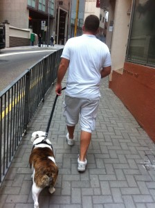 man walking dog