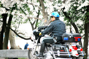 Retrieved from http://www.publicdomainpictures.net/pictures/30000/nahled/policeman.jpg on 6/9/2015. 