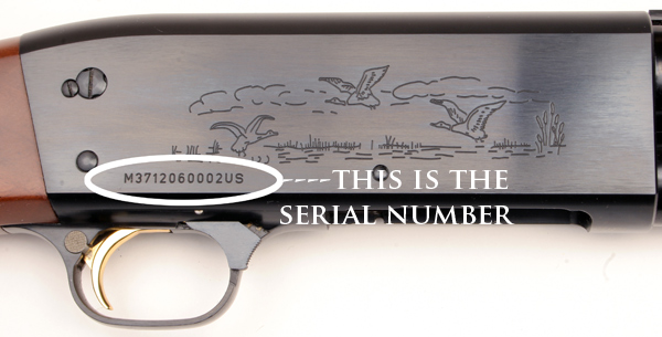 Are Firearms without Serial Numbers Illegal? 